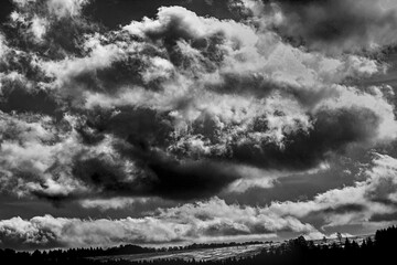 black and white
