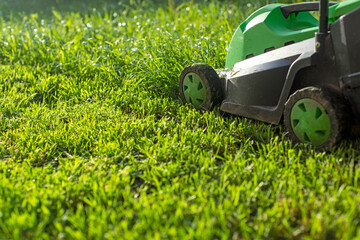 Fototapeta premium Summer and spring season sunny lawn mowing in the garden.
