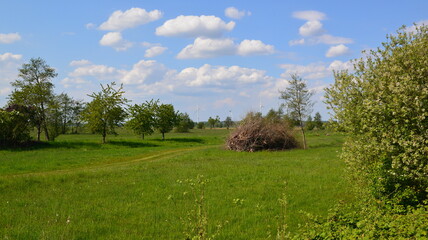 Obraz premium Marschbahndamm_025