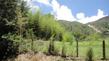 mountain landscape with trees and clouds petropolis rio de janeiro rj brasil brazil