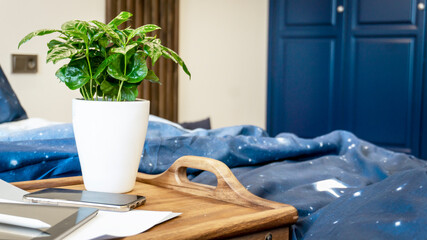 Wooden tray on a blue bed. Work at home. Cup of tea on a tray with a flower. Tablet and phone on the bed. Beautiful modern neoclassical interior.