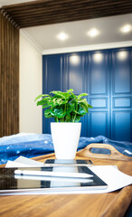 Wooden tray on a blue bed. Work at home. Cup of tea on a tray with a flower. Tablet and phone on the bed. Beautiful modern neoclassical interior.