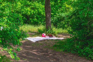 Family, summer, vacation, kids, camping, charming nature, relax