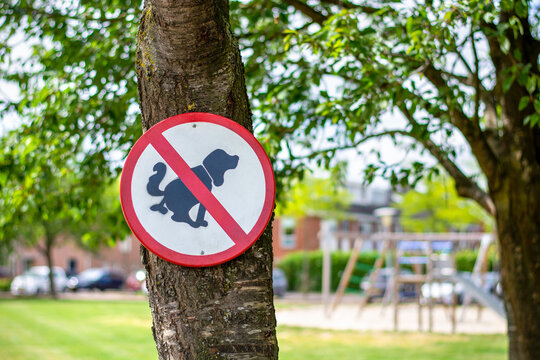 Round red and white no dogs poop zone sign in front of children playground in neighbourhood. Traffic sign mounted on tree prohibited to let the dog shit. No dog fouling in children's public play park