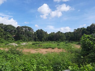 Nature, pallikara, kerala 