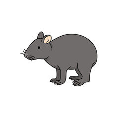 アマミノクロウサギ