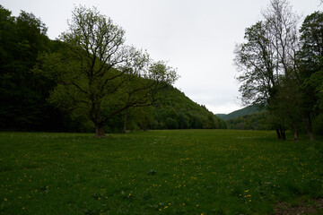 Hiking in beautiful landscape of Bad Urach, Swabian Alb, Baden-Wuerttemberg, Germany, Europe