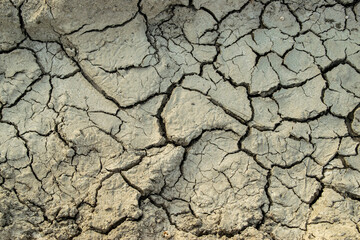 Tierra agrietada por una sequía por cambio climático.