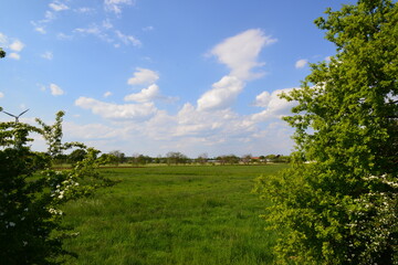 Marschbahndamm_041