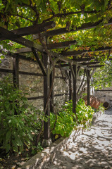 Ancient vineyard. Construction with pillars and crossbars