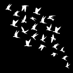 Silhouette of flying birds on black background. Inspirational body flash tattoo ink. Vector.