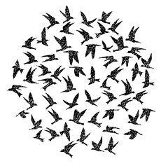Naklejka premium Isolated textured stipple silhouette of birds flock in the air Inspirational body flash tattoo ink. Vector.