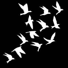 Silhouette of flying birds on black background. Inspirational body flash tattoo ink. Vector.