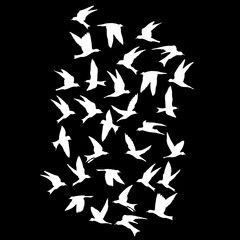 Silhouette of flying birds on black background. Inspirational body flash tattoo ink. Vector.