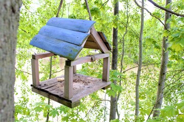An old broken bird feeder suspended by a rope on a branch of a large tree, and a summer green landscape around