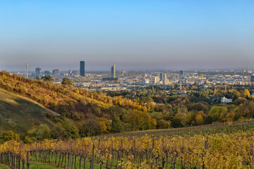 View over vineyards of Vienna to the city in autumn golden afternoon light, Austria