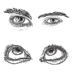 Female and male eye and brow with lashes image set in different mood and directions. Fashion boy and girl vision design. Ink hand drawing for makeup look and studio salon or tattoo design. Vector.