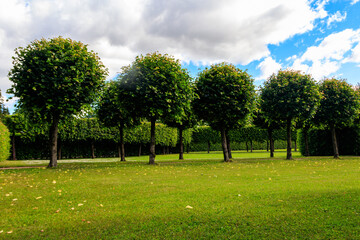 Formal garden in Catherine Park in Tsarskoye Selo, Pushkin, Russia