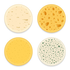 Set of vector different types of cheese realistic round patterns or textures