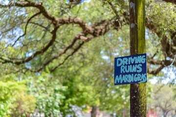 "Driving Ruins Mardi Gras (Fat Tuesday) " sign on a utility pole on Esplanade Avenue in the Faubourg St. John neighborhood