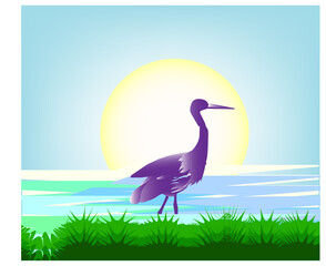 Tropical Poster Background design