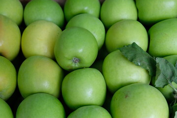 Lots of beautiful green apples on the market square, tasty and juicy, fresh and ripe fruit.