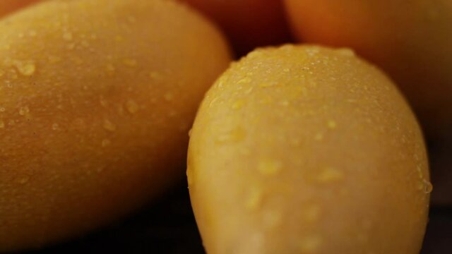 Water drop on Ripe mango metaphor Juice product of Tropical fruit or refreshment of Mango shake.