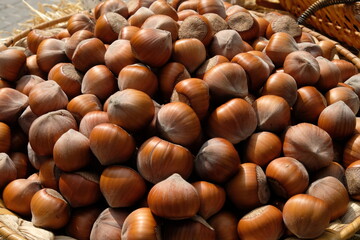 All screen filled with hazelnuts in their shells