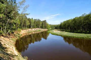 Obraz premium On the banks of the Neman River in the reserve 