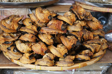 fish are dried to preserve them for a long time.