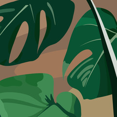 Tropical Monstera plant. Tropical leaves in retro style. Perfect for background, wallpaper, textile and wrapping paper. Hand drawn vector illustration