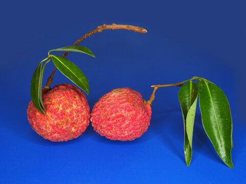 Fresh lychee Thai fruit and grest tast sweet and sour