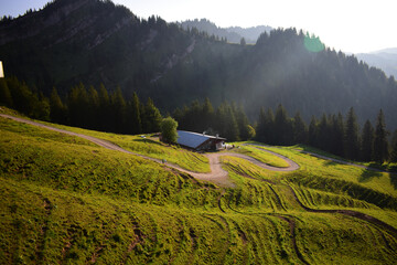 The Hochgrat during summer