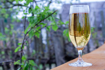 glass glass with beer in nature. bubbles in a glass with foam