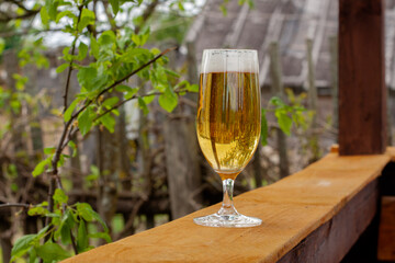 glass glass with beer in nature. bubbles in a glass with foam
