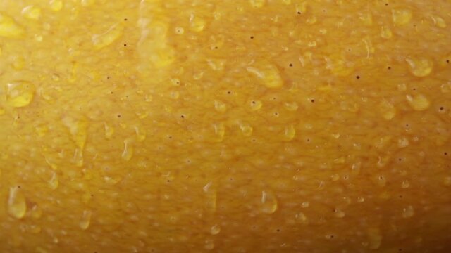 Close up yellow color of Mango skin with water drop. loopable. Refresh drink of mango juice and tropical fruits background concept.