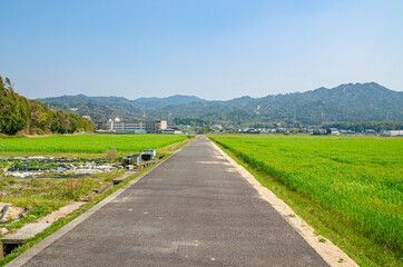 滋賀県の大津市の田舎の道路　