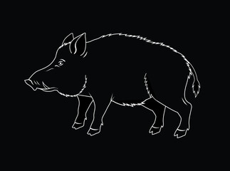 vector illustration of a wilk boar © Darko
