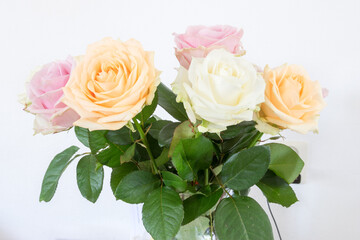 Beautiful pastel colored roses arranged in a vase