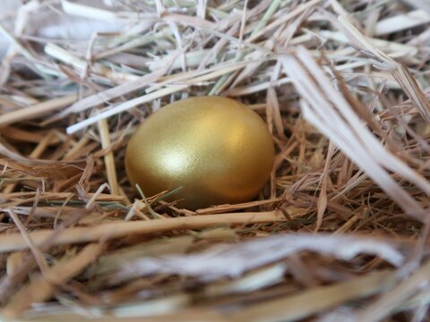 Golden egg in the straw nest.