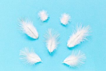 Many white feathers on the soft blue background.