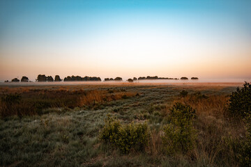 Obraz premium sunrise over the field
