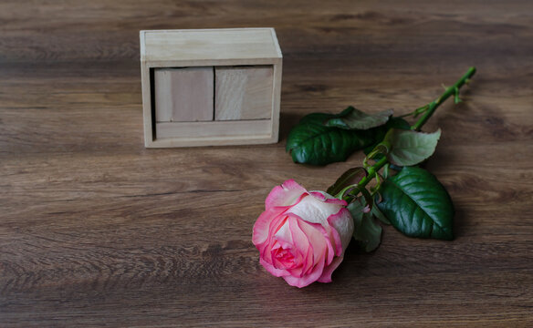 pink rose fresh flowers on a wooden background