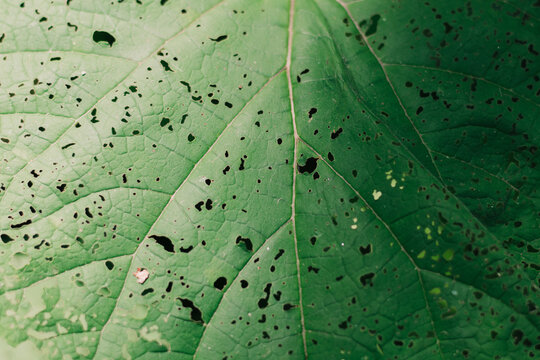 Beautiful nature and can be used as a variety of wallpapers