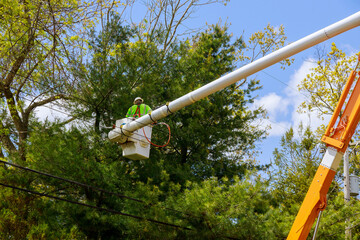 Spring cutting tree care pruning by the man standing on crane lifting platform of the hydraulic