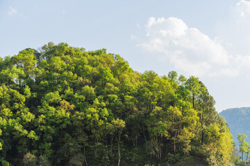 Hills of Nepal, covered with jungle. Landscape with tropical rainforest in bright summer day. Reference image for CG drawing, matte painting. Stock photo.