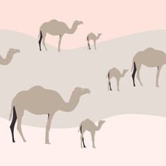 Vector vertical pattern camel in the desert. 