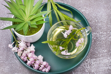 green tarragon tea. Medicinal herb.