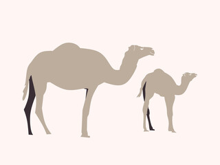 Vector camel in the desert. Single element.