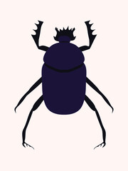 An Egyptian scarab beetle vector. A single element of the scarab.